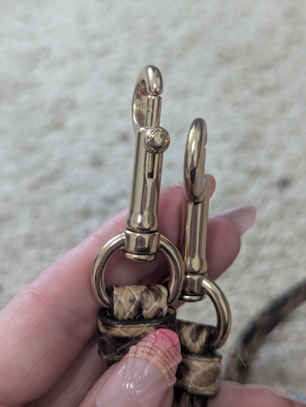 Coach Python Replacement Strap - Picture 4 of 5